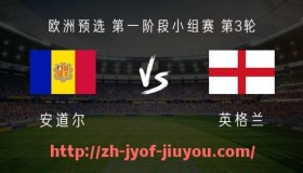 九游jiuyou-西甲联赛中国球迷应援活动与官方互动记录